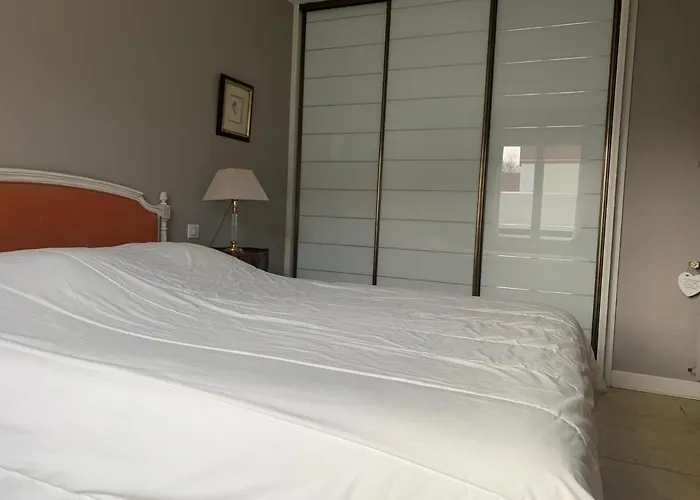 Belle Avec Piscine, Proche Et Centre De - Fr-1-239-718